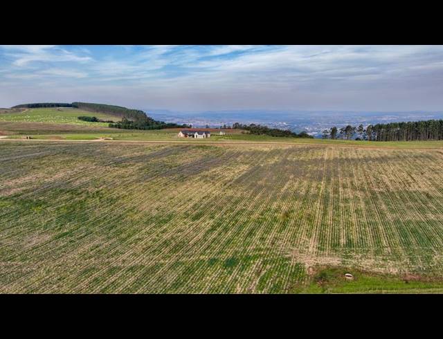 LAND FOR SALE IN MOUNT VERDE